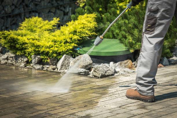 Best Sidewalk and Walkway Cleaning  in Salem, MO
