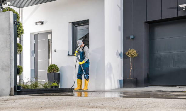 Best Rust Removal  in Salem, MO